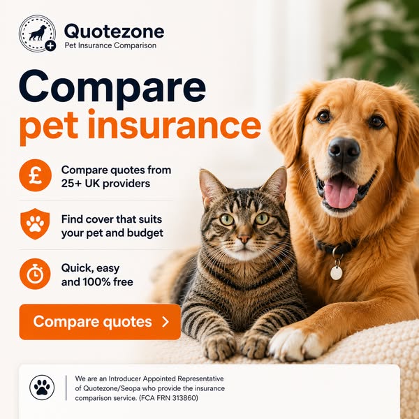 SouthendDogTraining ad