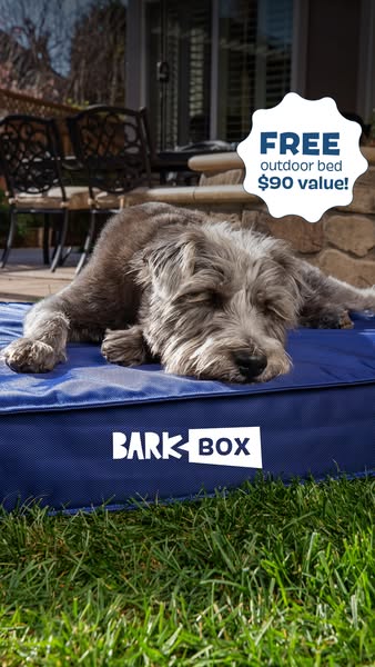 An image ad for BarkBox features a gray dog sleeping on a blue BarkBox bed in a backyard setting. The ad highlights a sp